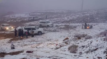 تحت الصفر.. موجة قطبية تضرب مدينة طريف وسط ضباب كثيف ومدى رؤية محدود